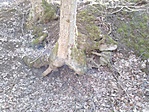 IMG_20200314_113839