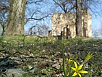 IMG_20200329_113706