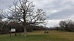20200308_141532