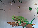 DSC05296