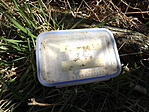 Úttalan templom-5