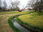 IMG_20200313_095326