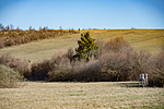 _DSC1512