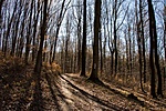 _DSC1518