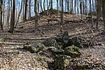 _DSC1514