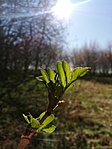 IMG_20200315_143742
