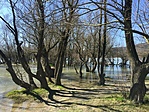 IMG-2382