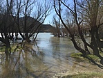 IMG-2383