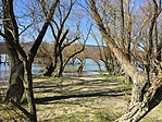 IMG-2384
