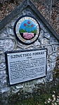 IMG_20200320_175903