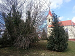 20200307_120343