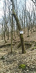20200314_140814