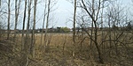 20200321_114500