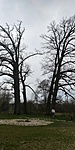 20200321_122243_HDR