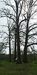 20200321_122622_HDR