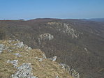 DSC03153