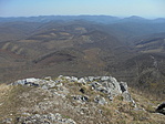 DSC03150