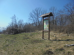 DSC03159
