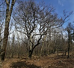 20200314_111121