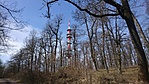 DSC_0687[1]