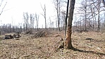 DSC_0690[1]