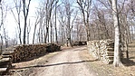 DSC_0691[1]
