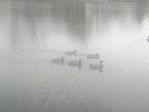 IMG_20200301_143457