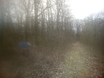 IMG_20200301_142339