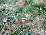 IMG_20200313_151608
