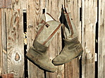 DSCN3681