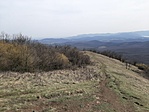 20200326_134548