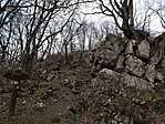 IMG_20200313_162449
