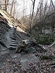IMG_20200320_094302