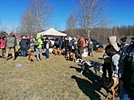 IMG_20200315_093939
