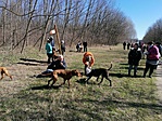 IMG_20200315_104057