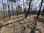 IMG_5333