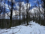 IMG_5370
