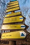 IMG_8808