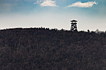 IMG_8881
