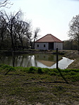 20200329_145603