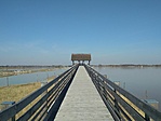 IMG_20200317_161923