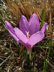 IMG_20200317_155701