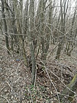 IMG_20200308_134721