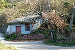 P1190445
