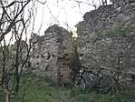 20200417_175015202_iOS