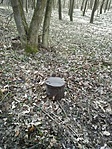 IMG_20200222_112200-1