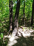 IMG_20200426_104251