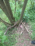 IMG_20200426_115451