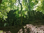 IMG_20200426_124010