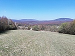IMG_20200404_140156